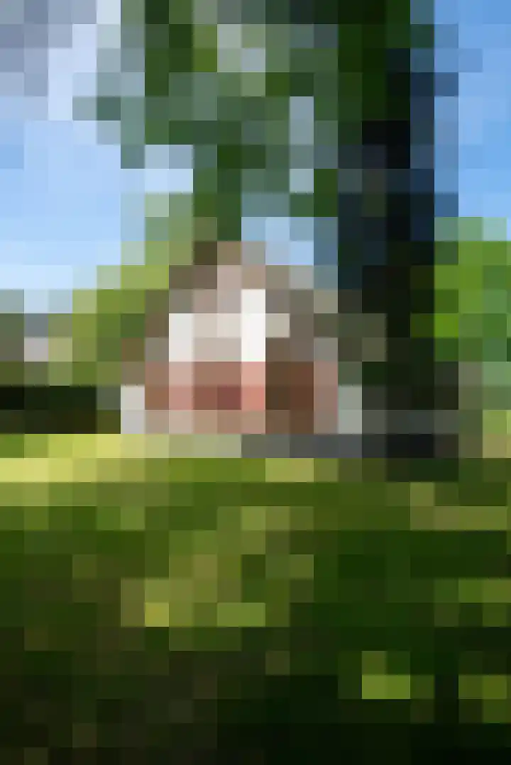 Prinsenweg 12 a Nijkerk thumbnail 56