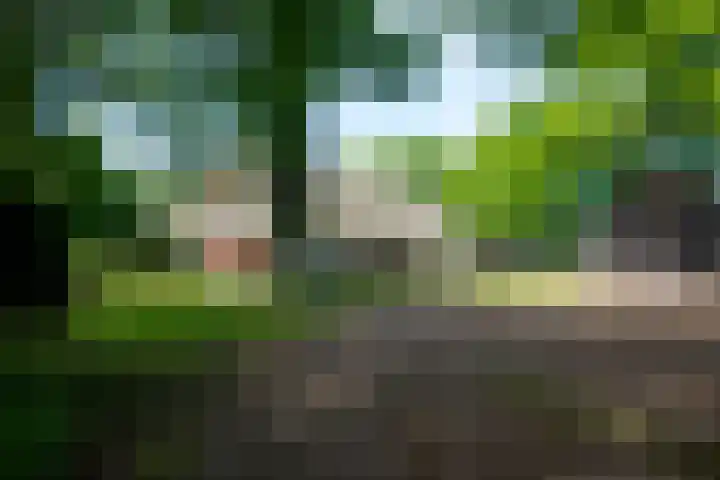 Prinsenweg 12 a Nijkerk thumbnail 6