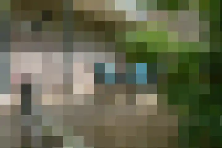 Prinsenweg 17 a Molenhoek thumbnail 32