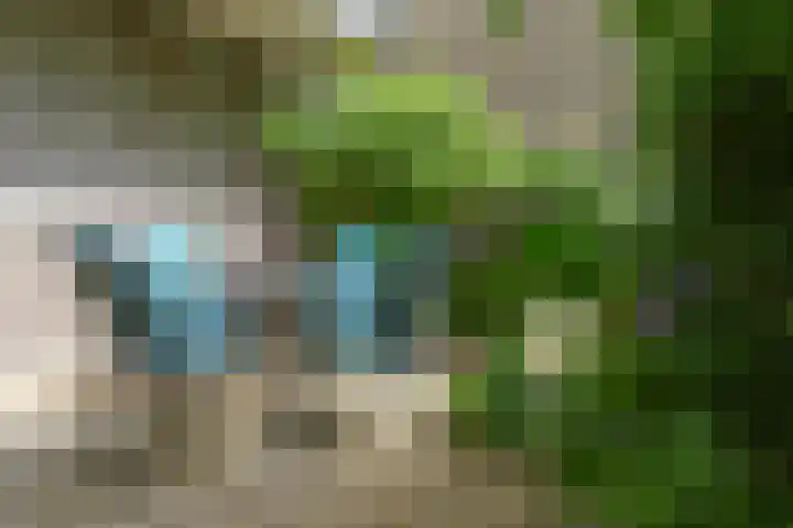 Prinsenweg 17 a Molenhoek thumbnail 33