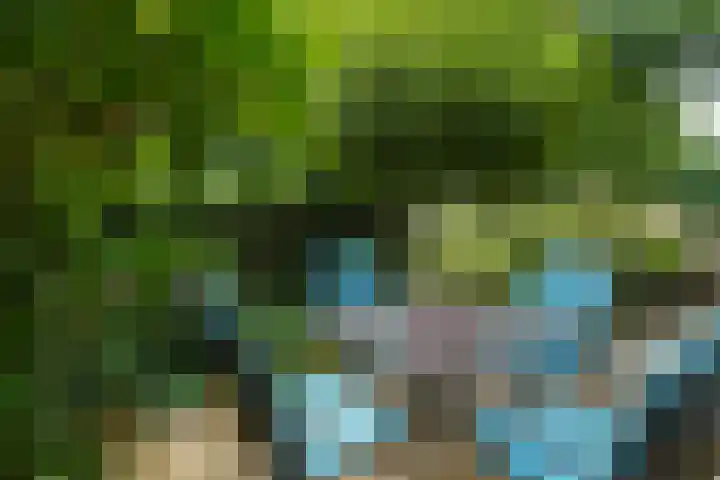 Prinsenweg 17 a Molenhoek thumbnail 34