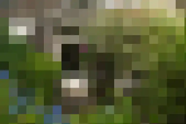 Prinsenweg 17 a Molenhoek thumbnail 47