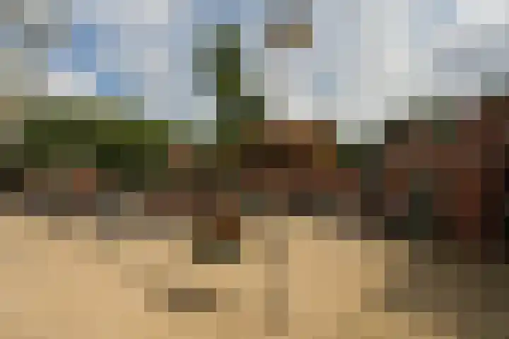 Prinsenweg 17 a Molenhoek thumbnail 51