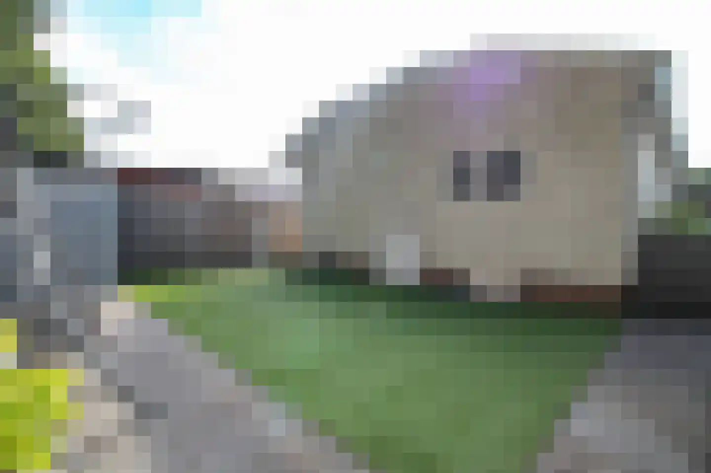 Prinsenweg 22 0226 Nijkerk thumbnail 45