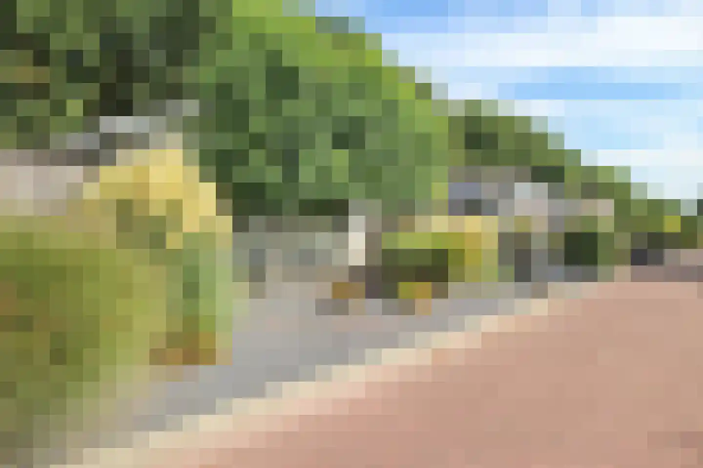 Prinsenweg 22 0226 Nijkerk thumbnail 63