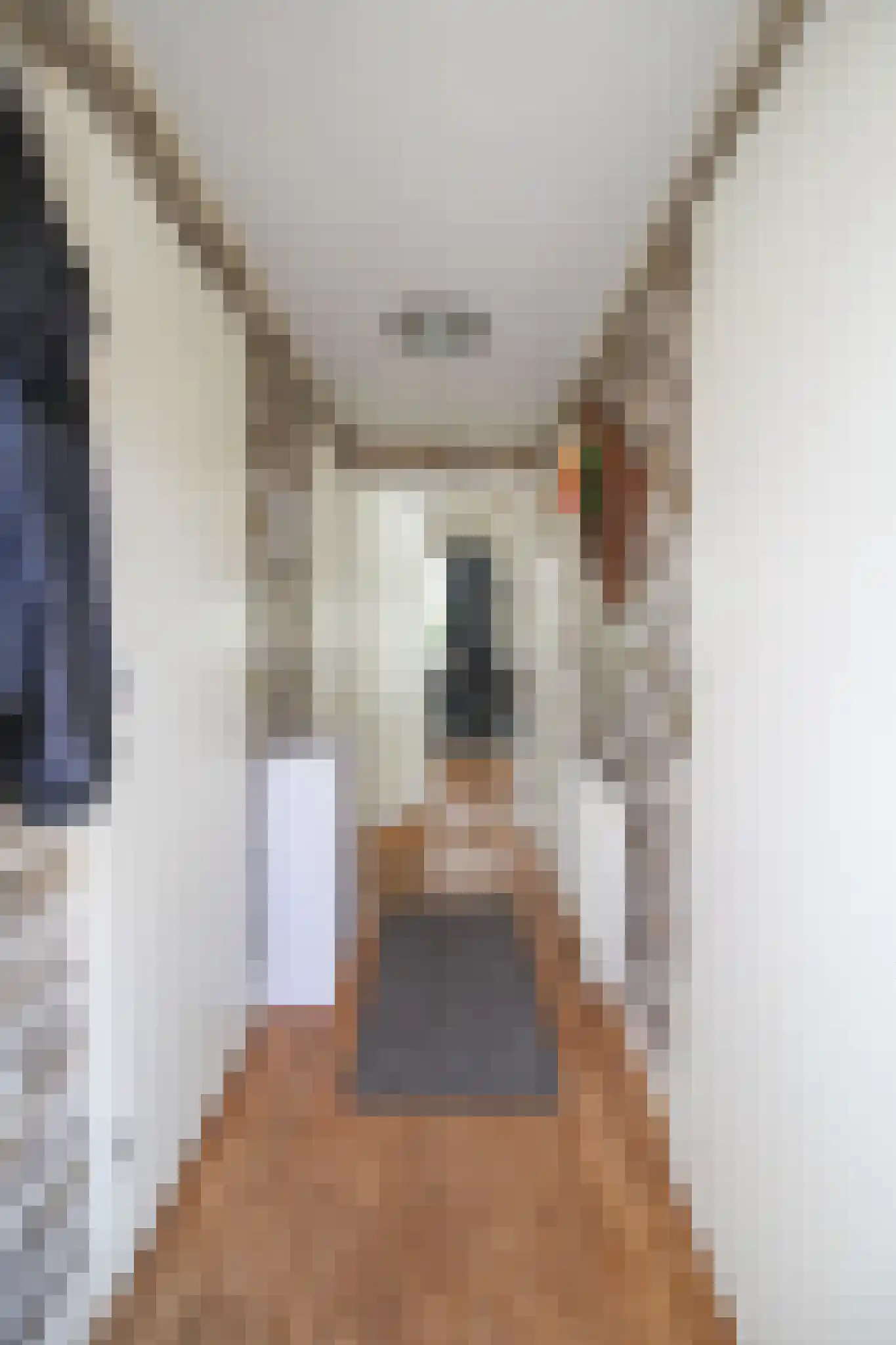 Prinsenweg 22 041 Nijkerk thumbnail 24