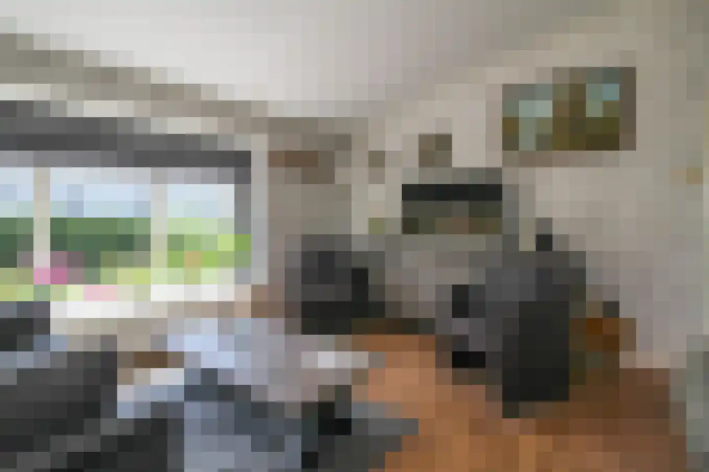 Prinsenweg 22 041 Nijkerk thumbnail 5