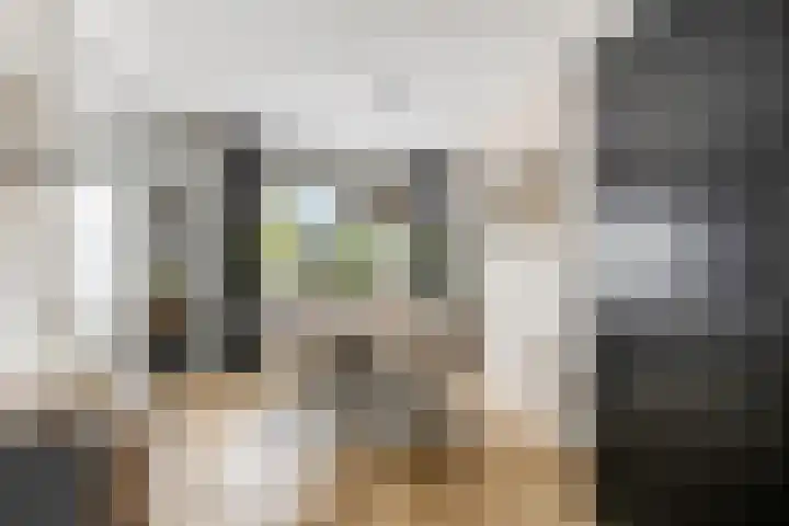 Prinsenweg 34 Elst Ut thumbnail 10