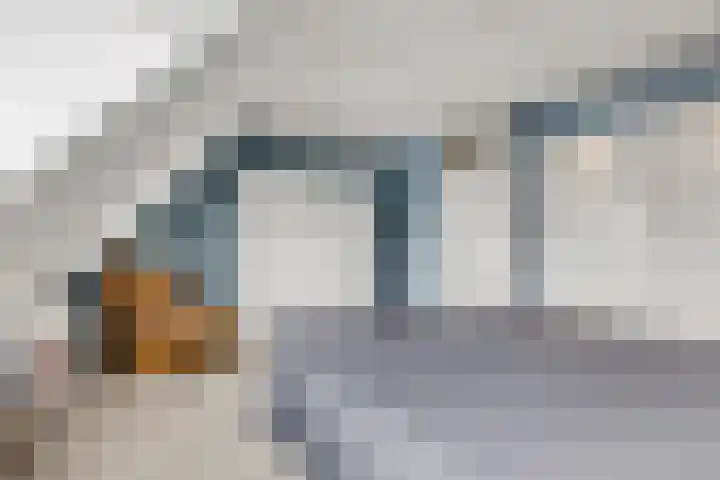Prinsenweg 34 Elst Ut thumbnail 17