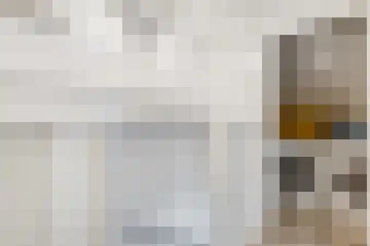 Prinsenweg 34 Elst Ut thumbnail 21