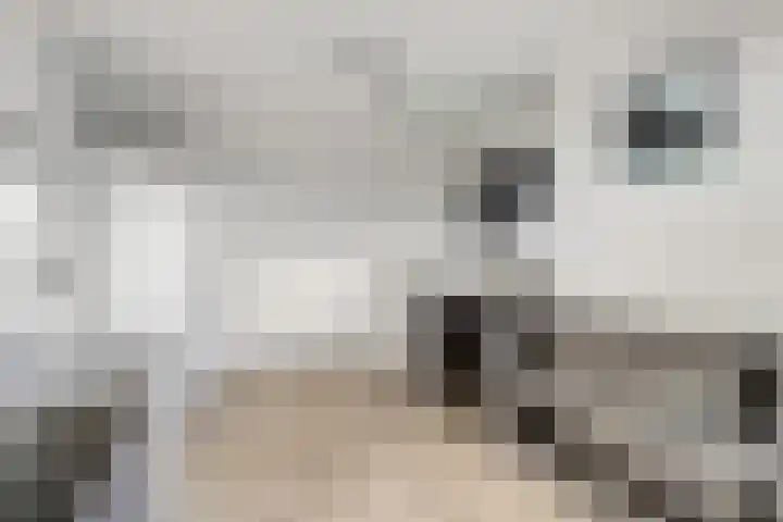 Prinsenweg 34 Elst Ut thumbnail 23