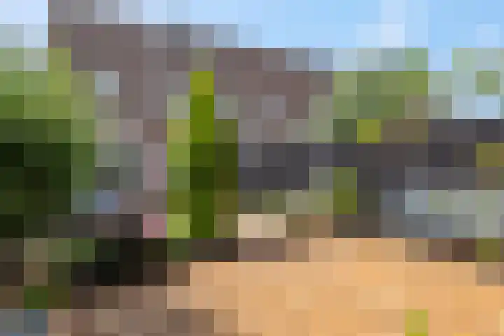 Prinsenweg 34 Elst Ut thumbnail 26