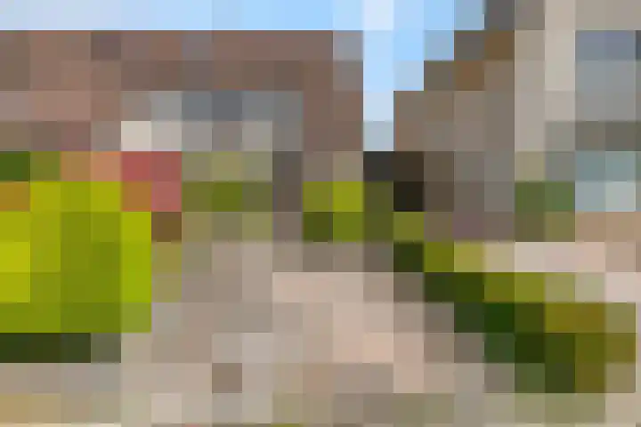 Prinsenweg 34 Elst Ut thumbnail 29