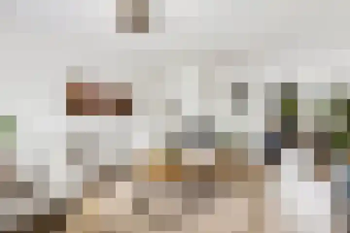 Prinsenweg 34 Elst Ut thumbnail 6