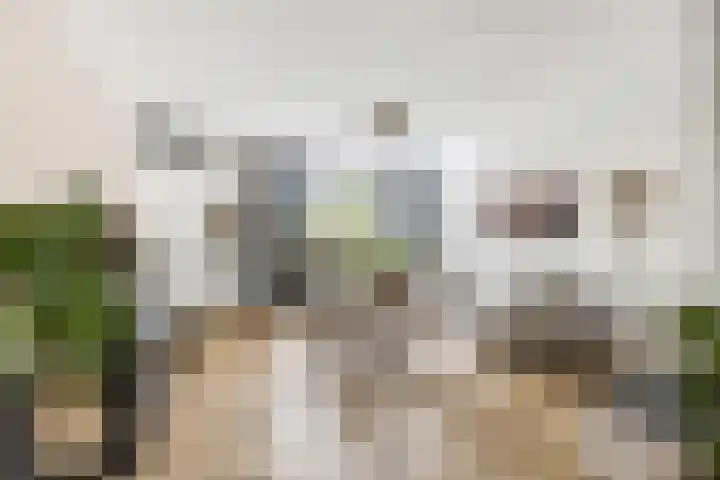 Prinsenweg 34 Elst Ut thumbnail 7
