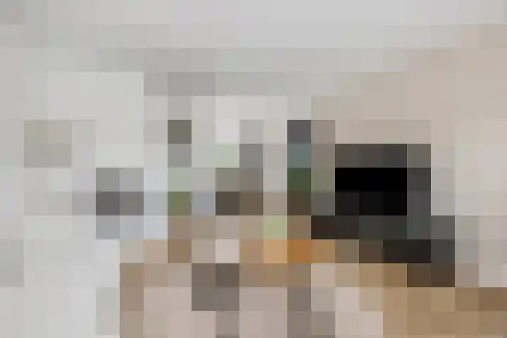 Prinsenweg 34 Elst Ut thumbnail 8