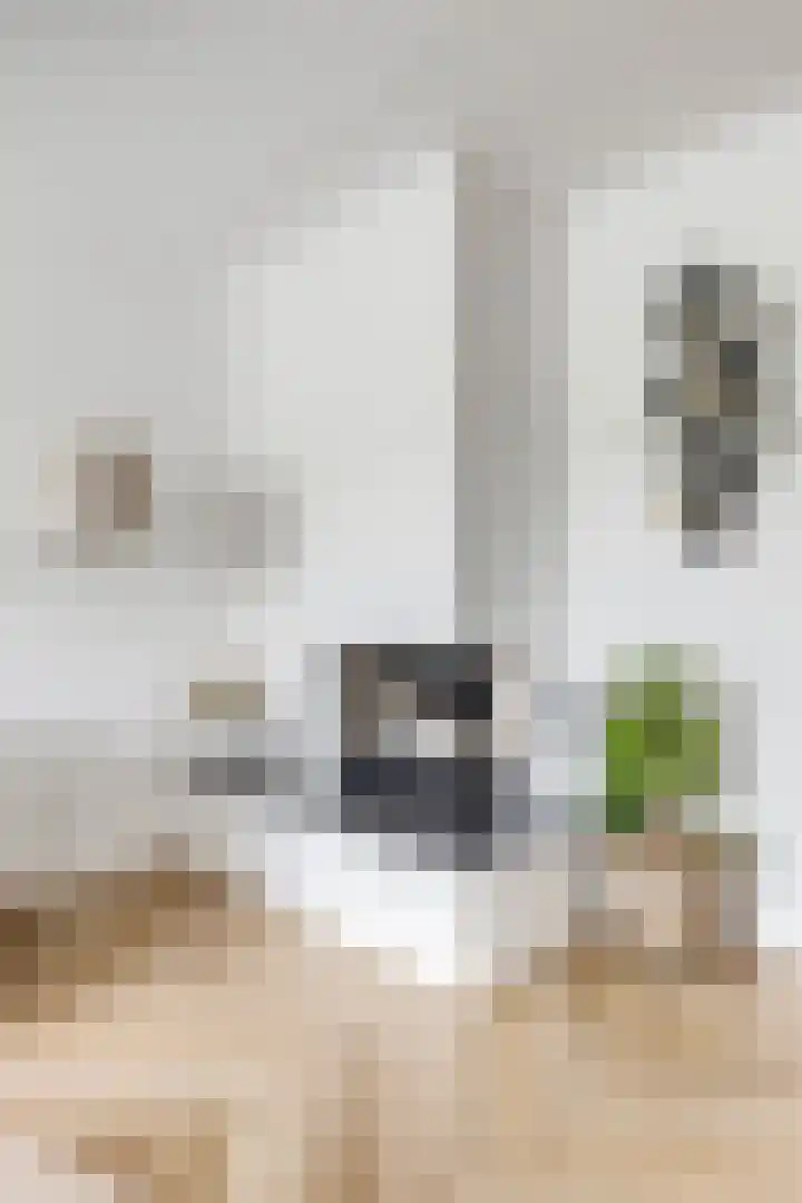 Prinsenweg 34 Elst Ut thumbnail 9