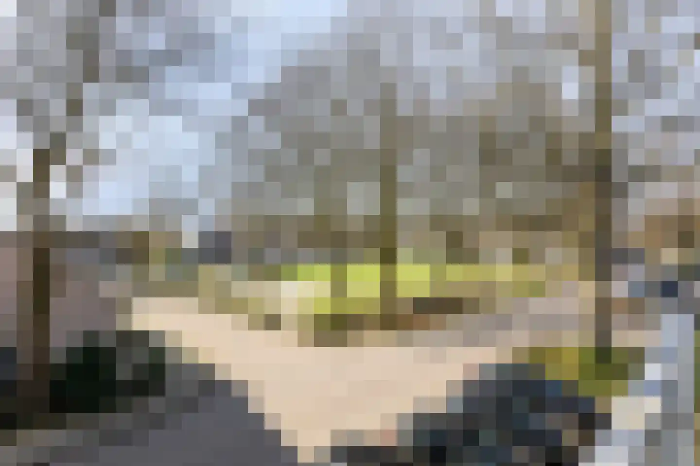 Prinsenweg 41 Molenhoek thumbnail 17
