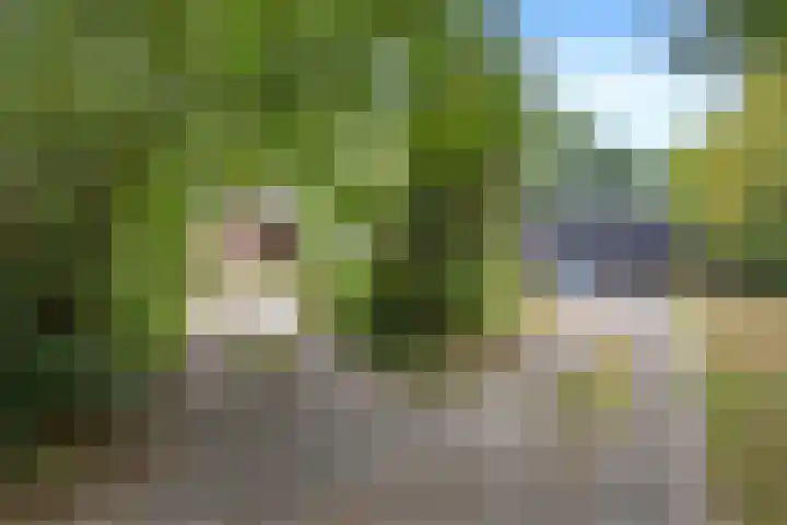 Prinsenweg 45 Nijkerk thumbnail 39