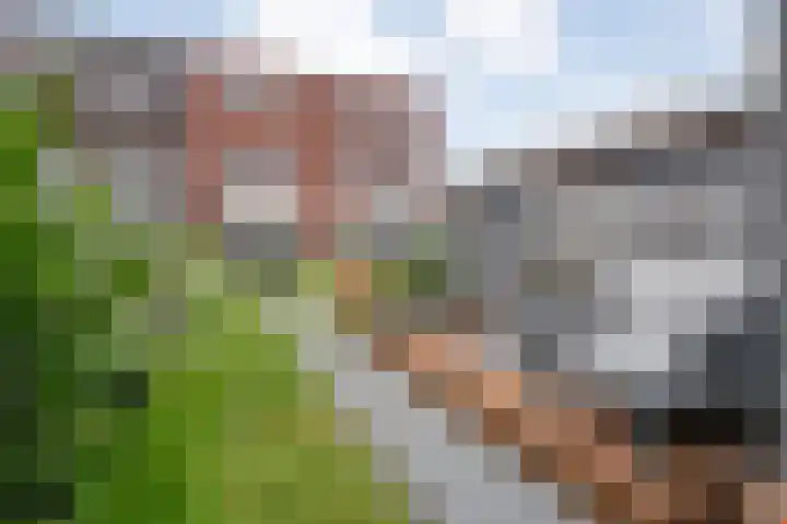 Prinsenweg 6 a Vriezenveen thumbnail 20