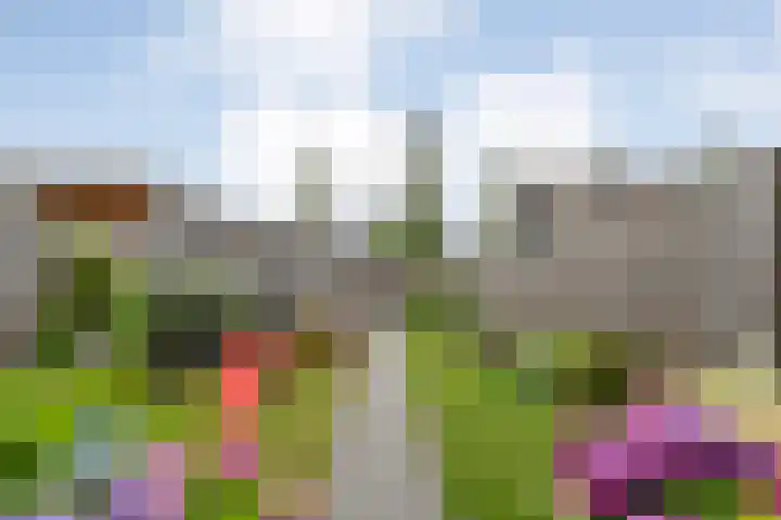 Prinsenweg 6 a Vriezenveen thumbnail 22