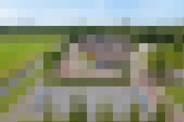Prinsenweg 6 a Vriezenveen thumbnail 25
