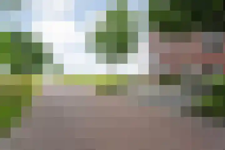 Prinsenweg 6 a Vriezenveen thumbnail 5