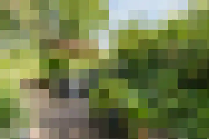 Prinsenweg 6 Hoog-Keppel thumbnail 56