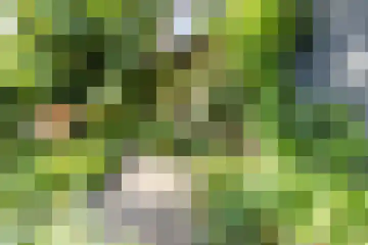 Prinsenweg 6 Hoog-Keppel thumbnail 58