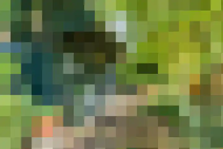 Prinsenweg 6 Hoog-Keppel thumbnail 61