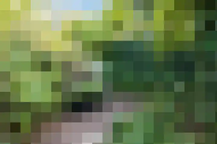 Prinsenweg 6 Hoog-Keppel thumbnail 63
