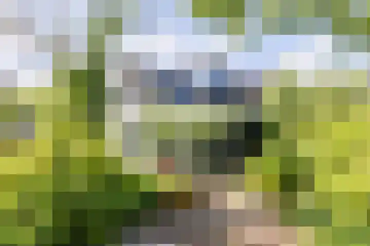 Prinsenweg 6 Hoog-Keppel thumbnail 64