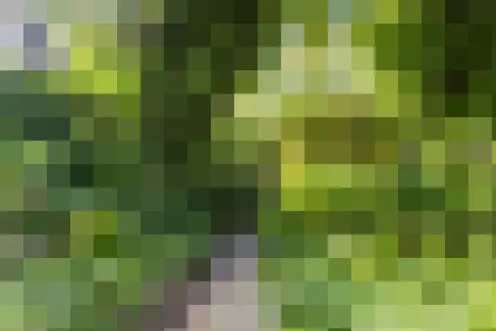 Prinsenweg 6 Hoog-Keppel thumbnail 69