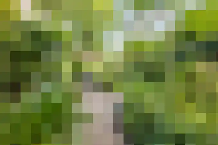 Prinsenweg 6 Hoog-Keppel thumbnail 71