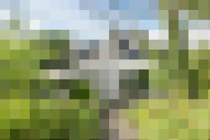 Prinsenweg 6 Hoog-Keppel thumbnail 73