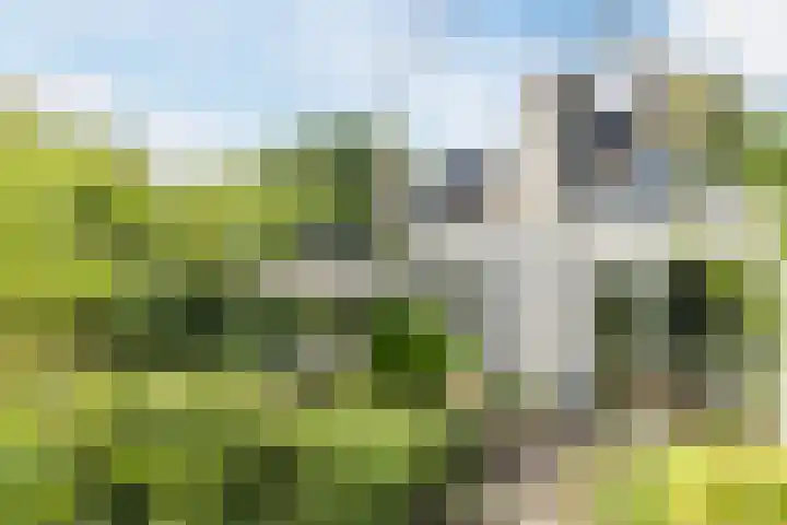 Prinsenweg 6 Hoog-Keppel thumbnail 74