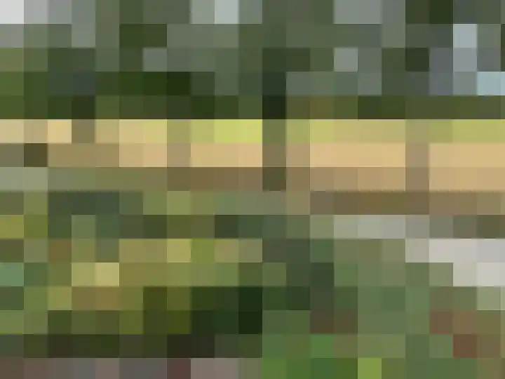 Prinsenweg 6 Hoog-Keppel thumbnail 78