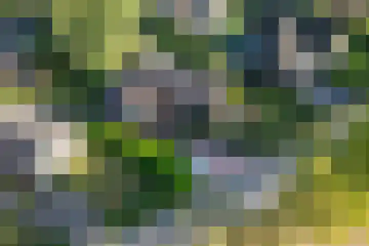 Prinsenweg 6 Hoog-Keppel thumbnail 83