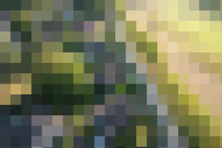 Prinsenweg 6 Hoog-Keppel thumbnail 84