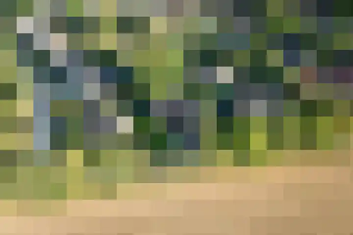 Prinsenweg 6 Hoog-Keppel thumbnail 85