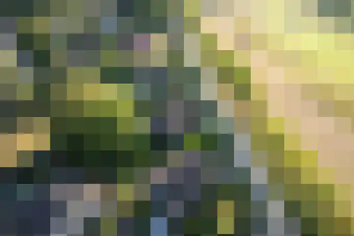 Prinsenweg 6 Hoog-Keppel thumbnail 96