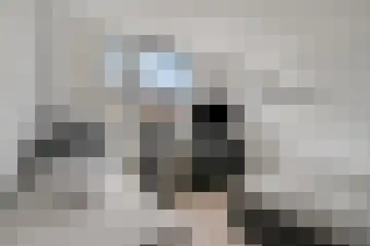 Prinsenweg 64 Elst Ut thumbnail 18
