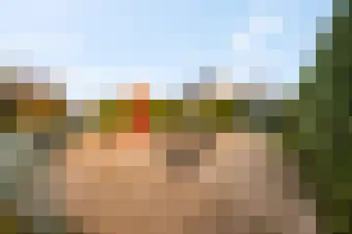 Prinsenweg 64 Elst Ut thumbnail 39