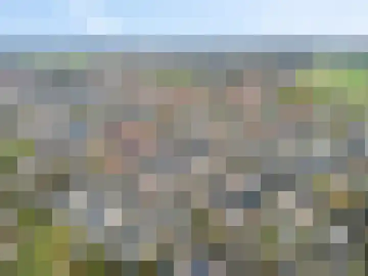 Prinsenweg 64 Elst Ut thumbnail 41