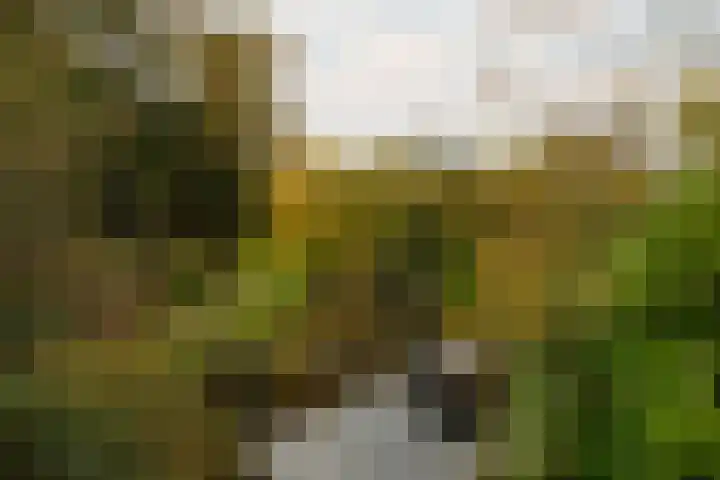 Prinsenweg 77 Wassenaar thumbnail 20