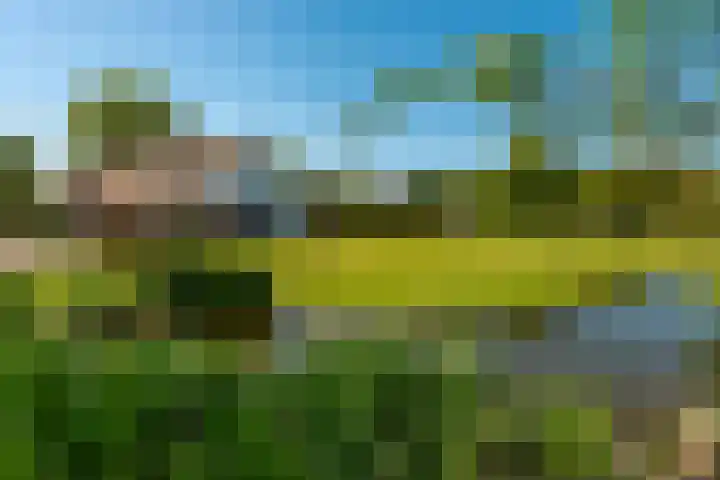 Prinsenweg 8 Nijkerk thumbnail 27