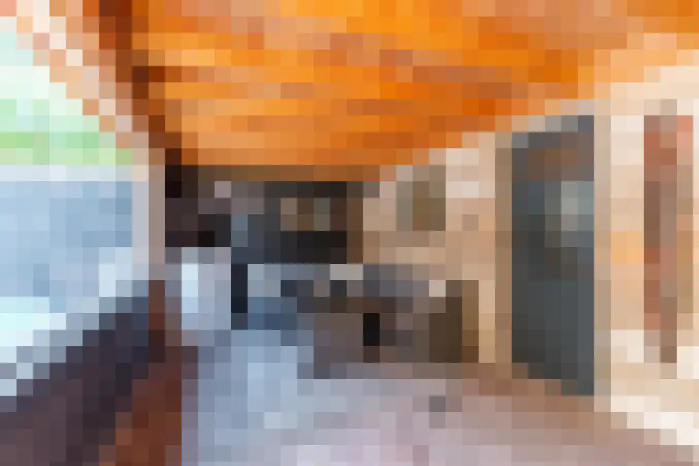 Prinsenweg 86 Elst Ut thumbnail 14