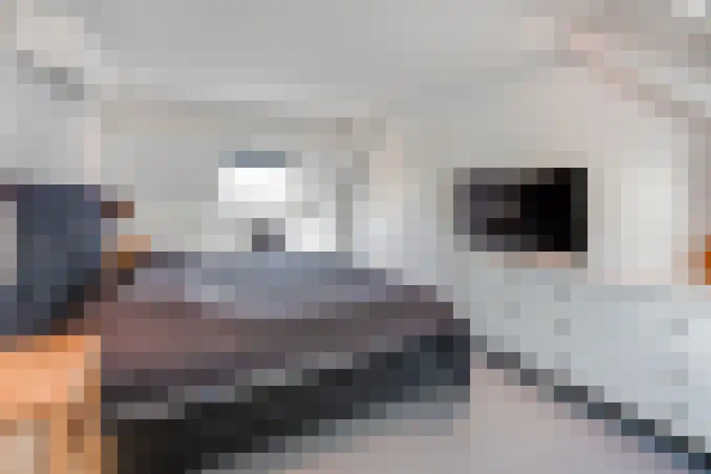 Prinsenweg 86 Elst Ut thumbnail 33