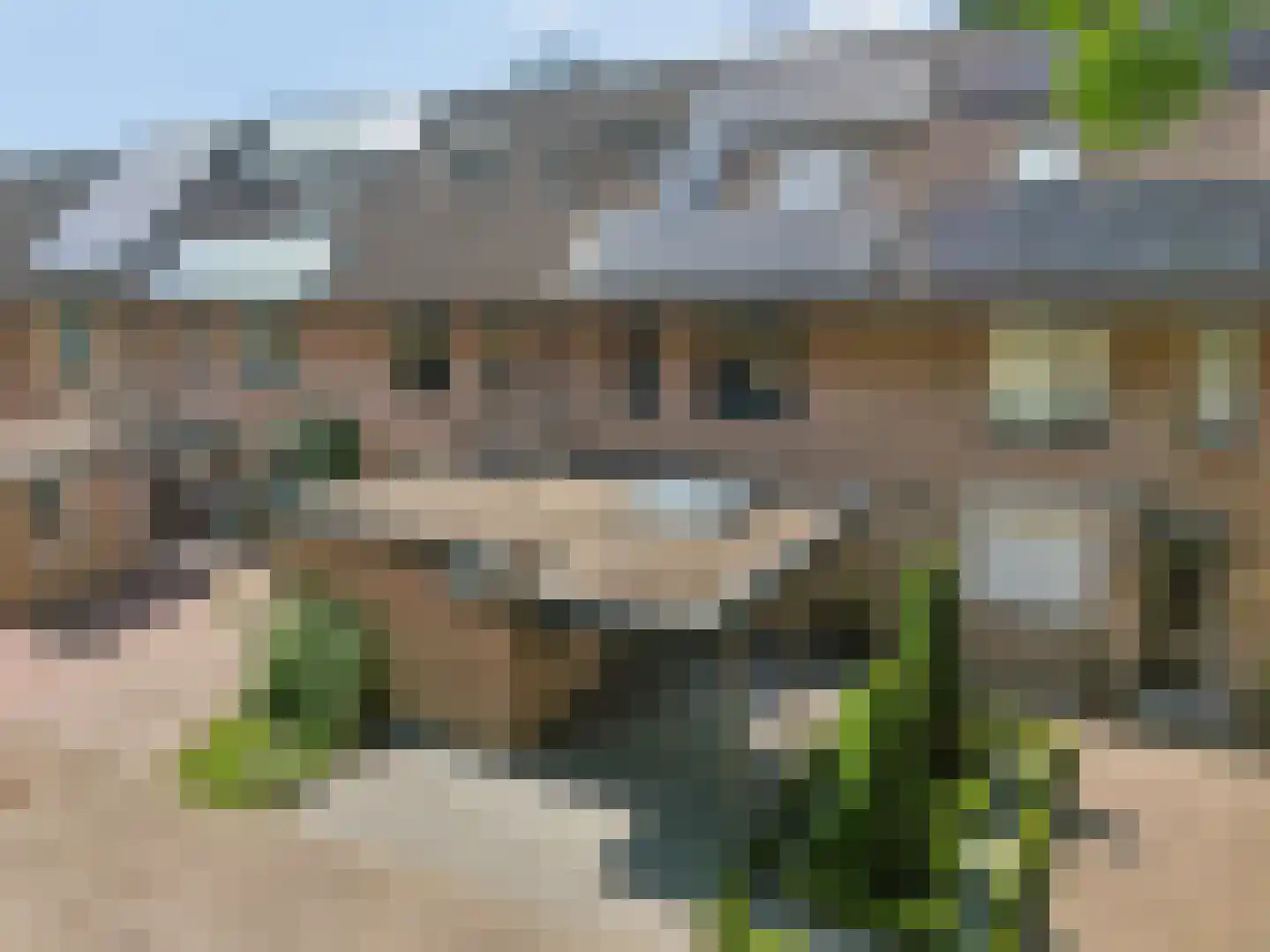 Prinsenweg 94 Elst Ut thumbnail 29