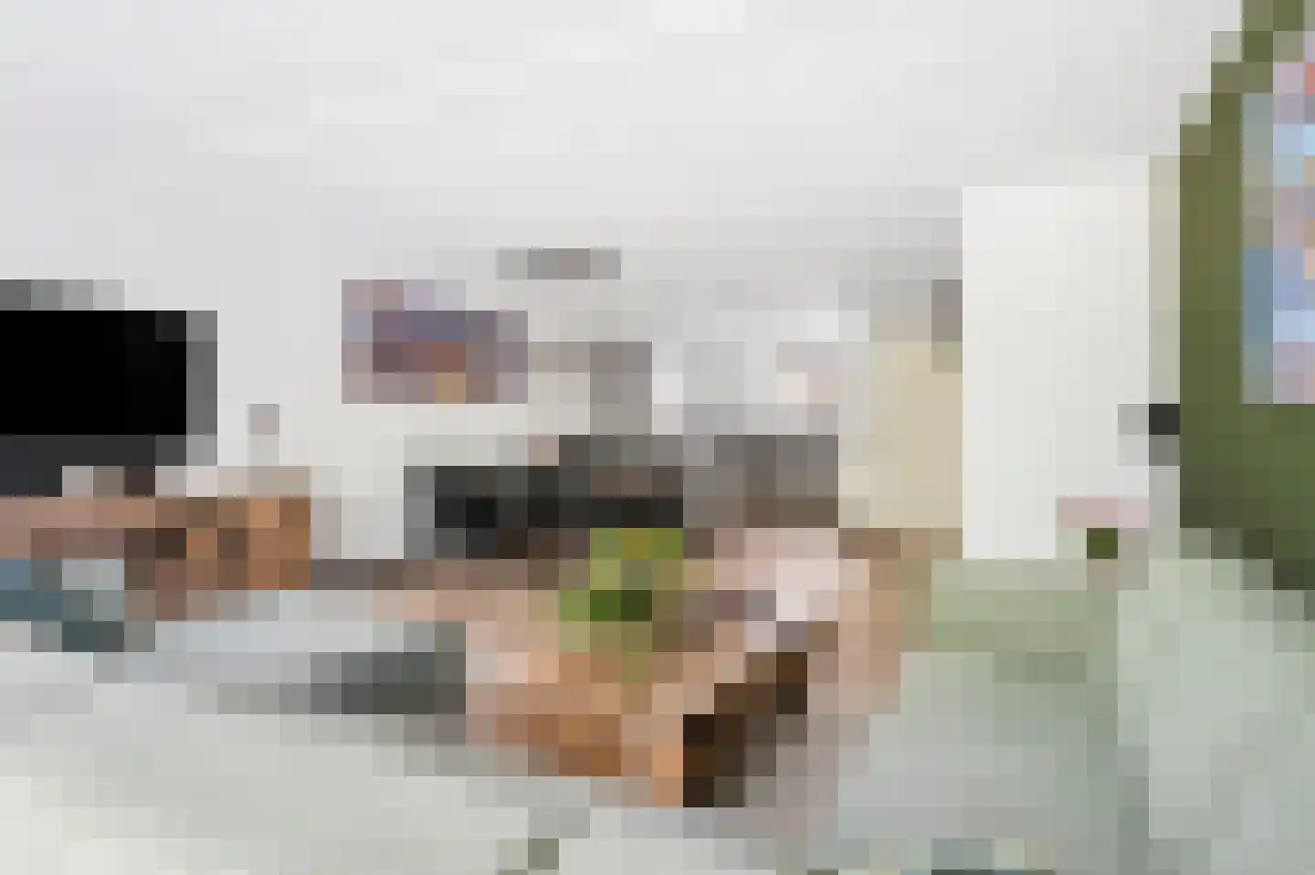 Prinsenweg 94 Elst Ut thumbnail 7